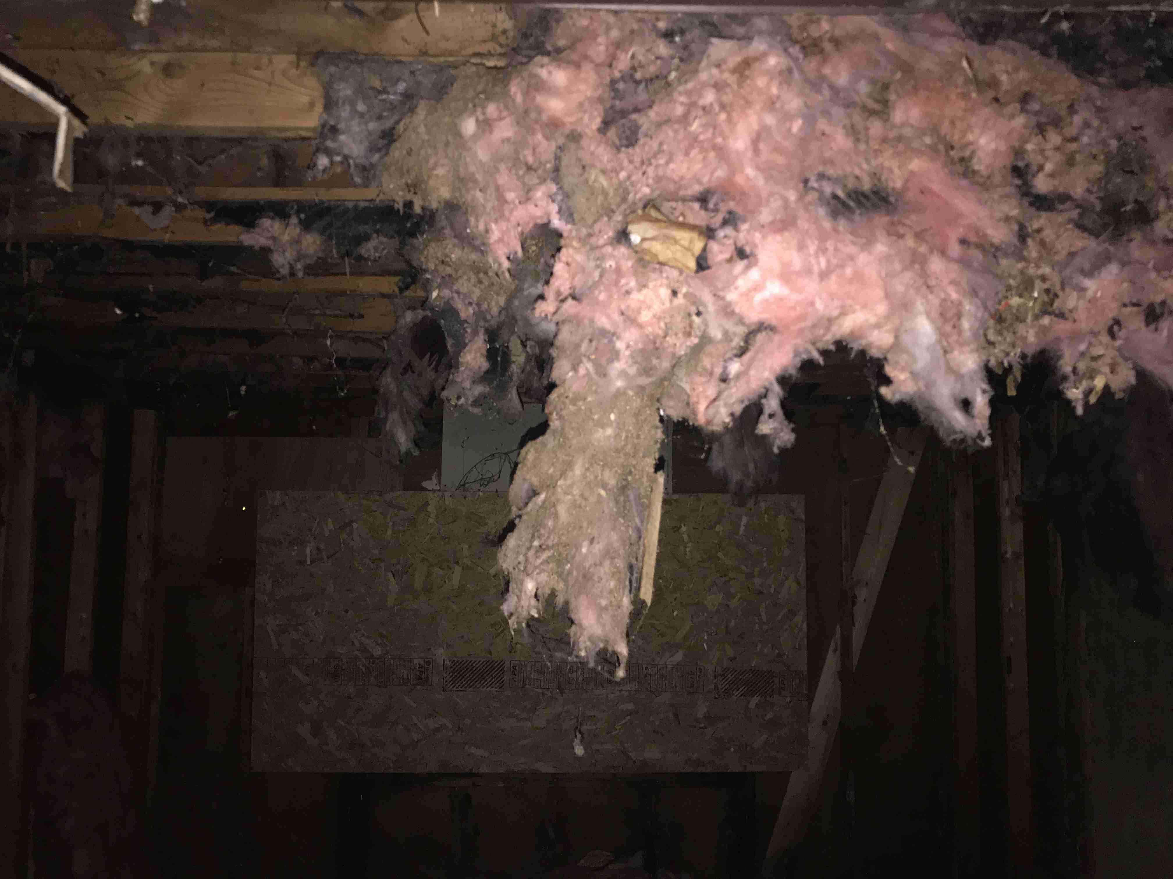 Photo Aug 21, 1 28 53 PM.jpg